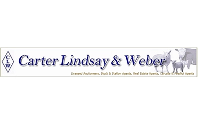 Carter Lindsay & Weber