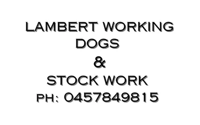 Lambert Working Dogs